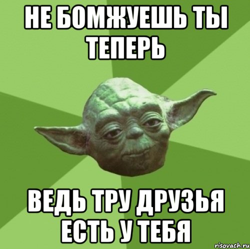 Не бомжуешь ты теперь Ведь тру друзья есть у тебя, Мем Мастер Йода