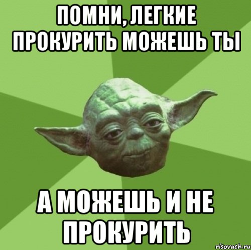 помни, легкие прокурить можешь ты А можешь и не прокурить, Мем Мастер Йода