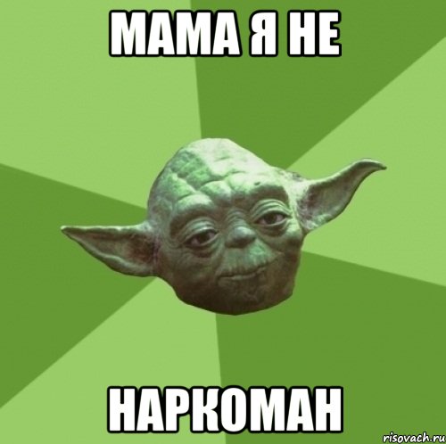 МАМА Я НЕ НАРКОМАН, Мем Мастер Йода