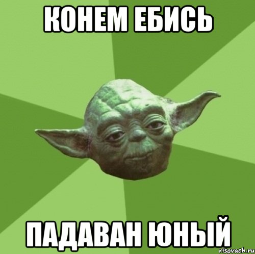 Конем ебись падаван юный, Мем Мастер Йода