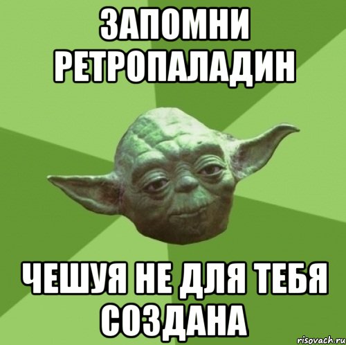 Запомни ретропаладин Чешуя не для тебя создана, Мем Мастер Йода