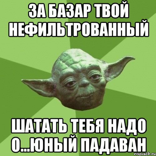 за базар твой нефильтрованный шатать тебя надо о...юный падаван, Мем Мастер Йода