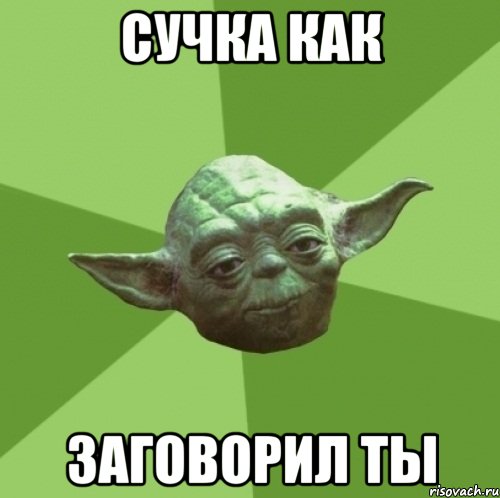 Сучка как Заговорил ты, Мем Мастер Йода