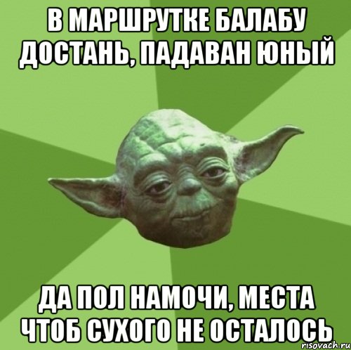 В маршрутке балабу достань, падаван юный да пол намочи, места чтоб сухого не осталось, Мем Мастер Йода