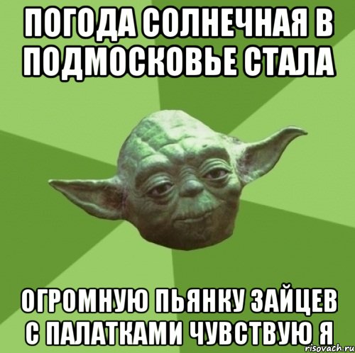 погода солнечная в Подмосковье стала огромную пьянку зайцев с палатками чувствую я, Мем Мастер Йода