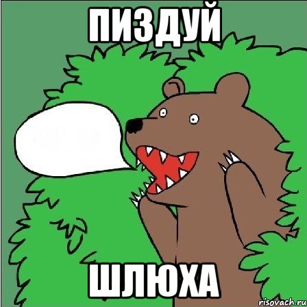 Пиздуй Шлюха, Мем Медведь-шлюха