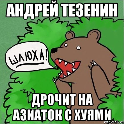 Андрей Тезенин дрочит на азиаток с хуями, Мем Медведь в кустах