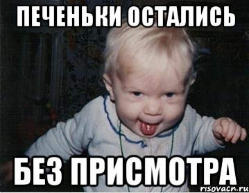 Печеньки остались Без присмотра