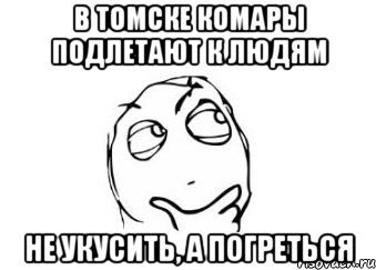 В Томске комары подлетают к людям не укусить, а погреться, Мем Мне кажется или