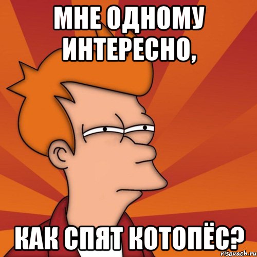 Мне одному интересно, Как спят котопёс?, Мем Мне кажется или (Фрай Футурама)
