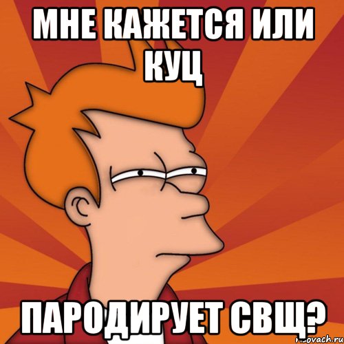Мне кажется или Куц Пародирует Свщ?, Мем Мне кажется или (Фрай Футурама)