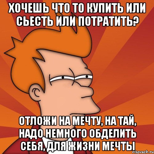 хочешь что то купить или сьесть или потратить? отложи на мечту, на тай, надо немного обделить себя, для жизни мечты, Мем Мне кажется или (Фрай Футурама)