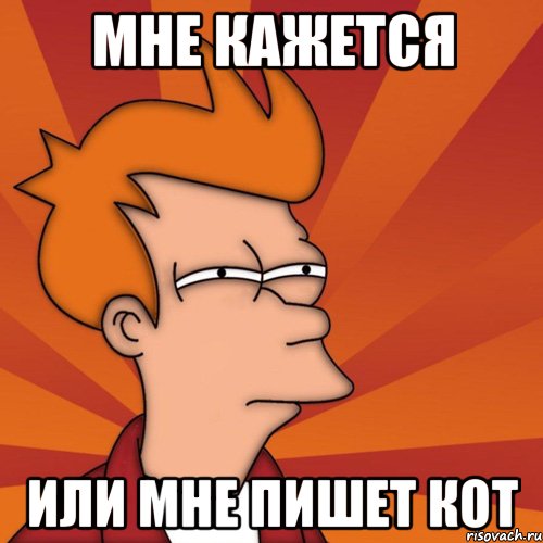 мне кажется или мне пишет кот, Мем Мне кажется или (Фрай Футурама)