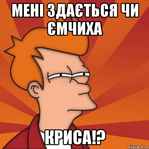 Мені здається чи Ємчиха КРИСА!?, Мем Мне кажется или (Фрай Футурама)