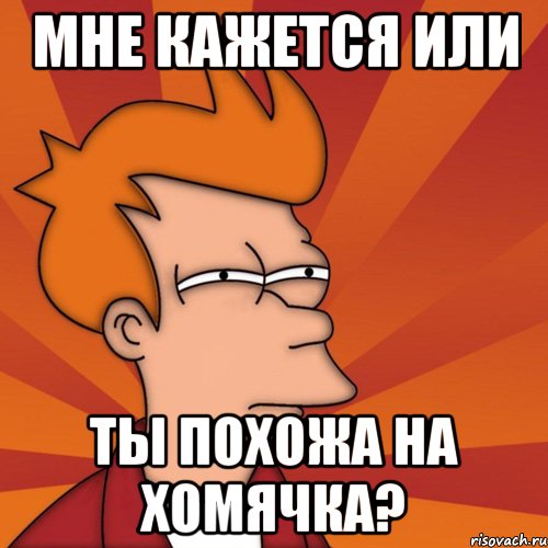 Мне кажется или ты похожа на хомячка?, Мем Мне кажется или (Фрай Футурама)