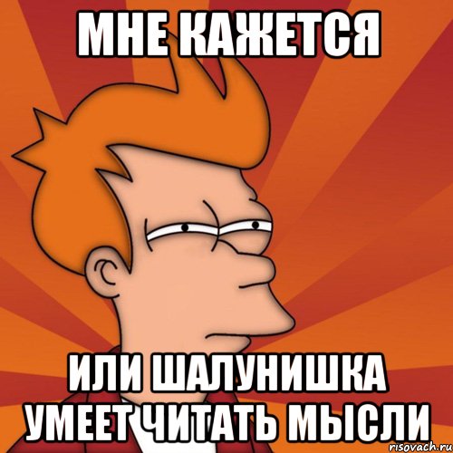 МНЕ КАЖЕТСЯ ИЛИ ШАЛУНИШКА УМЕЕТ ЧИТАТЬ МЫСЛИ