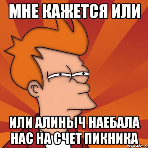 мне кажется или или алиныч наебала нас на счет пикника