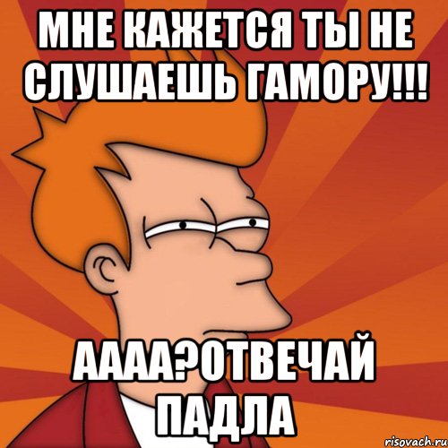 мне кажется ты не слушаешь гамору!!! аааа?отвечай падла