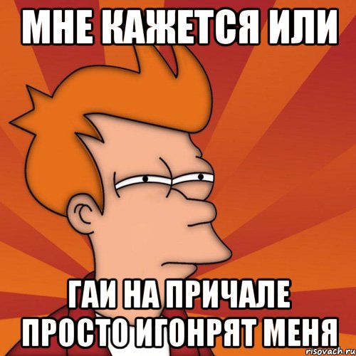 Мне кажется или гаи на причале просто игонрят меня
