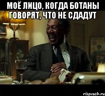 Моё лицо, когда ботаны говорят, что не сдадут 