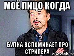 Моё лицо когда БУЛКА ВСПОМИНАЕТ ПРО СТРИПЕРА, Мем мое лицо когда