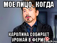 Мое лицо , когда Каролина собирает урожай в ферме
