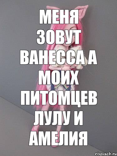 Меня зовут Ванесса а моих питомцев Лулу и Амелия