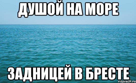 Душой на море Задницей в Бресте