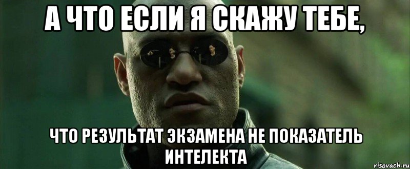 А что если я скажу тебе, Что результат экзамена не показатель интелекта