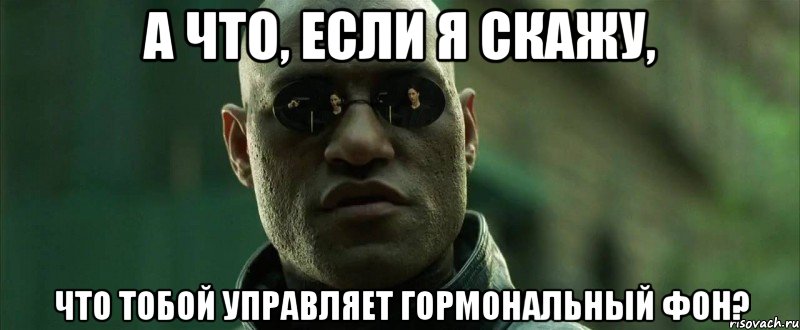 А что, если я скажу, что тобой управляет гормональный фон?