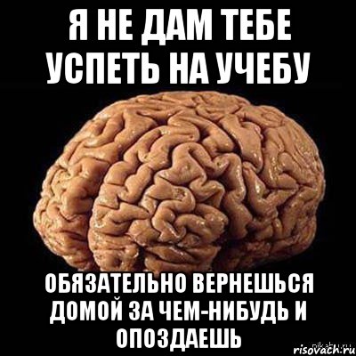 Я НЕ ДАМ ТЕБЕ УСПЕТЬ НА УЧЕБУ ОБЯЗАТЕЛЬНО ВЕРНЕШЬСЯ ДОМОЙ ЗА ЧЕМ-НИБУДЬ И ОПОЗДАЕШЬ