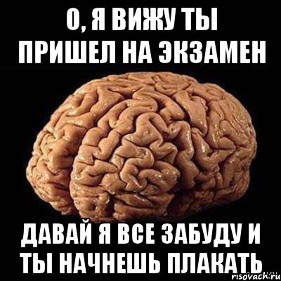 о, я вижу ты пришел на экзамен давай я все забуду и ты начнешь плакать