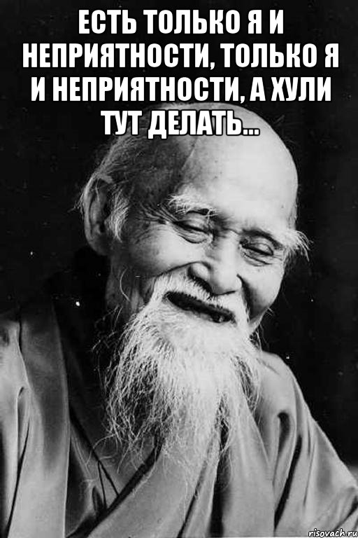 Есть только Я и неприятности, Только Я и неприятности, а хули тут делать... , Мем мудрец улыбается