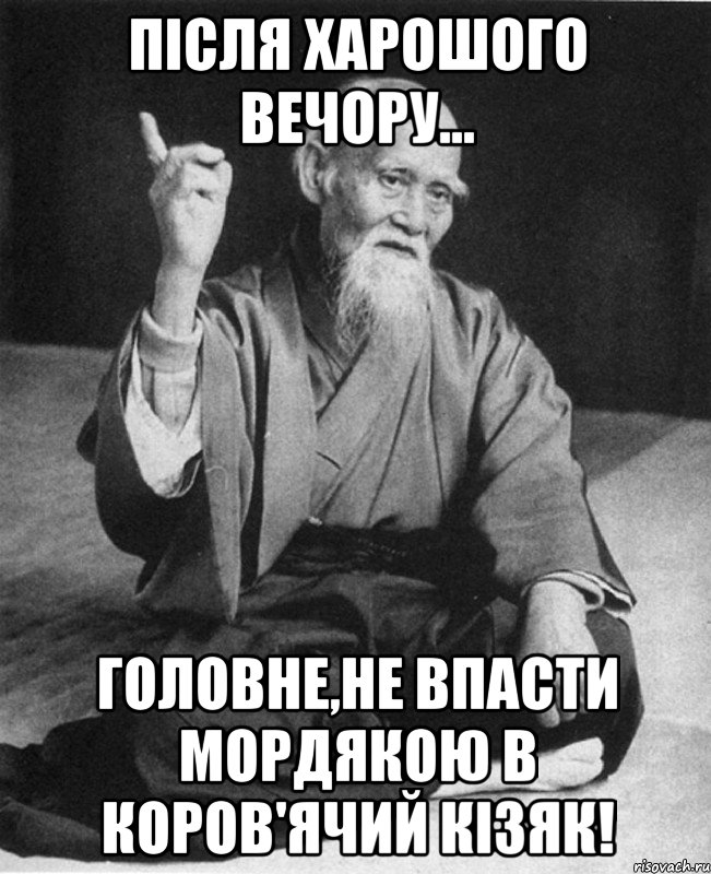 Після харошого вечору... Головне,не впасти мордякою в коров'ячий кізяк!, Мем Монах-мудрец (сэнсей)