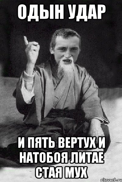 Одын удар и пять вертух и натобоя литае стая мух, Мем Мудрий паца