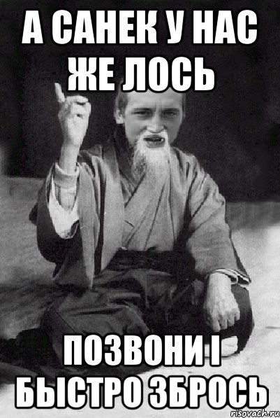 А санек у нас же лось позвони і быстро збрось, Мем Мудрий паца