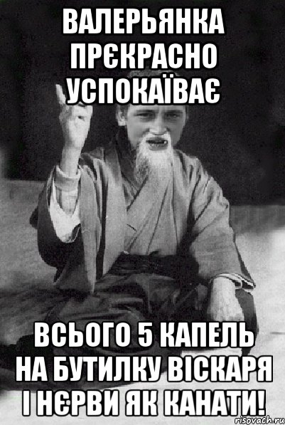 валерьянка прєкрасно успокаїває всього 5 капель на бутилку віскаря і нєрви як канати!, Мем Мудрий паца