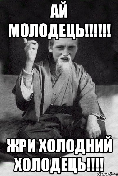 АЙ МОЛОДЕЦЬ!!!!!! ЖРИ ХОЛОДНИЙ ХОЛОДЕЦЬ!!!!, Мем Мудрий паца