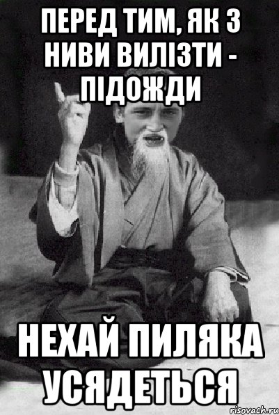 Перед тим, як з ниви вилізти - підожди нехай пиляка усядеться, Мем Мудрий паца