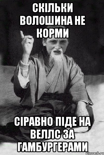 скільки волошина не корми сіравно піде на веллс за гамбургерами, Мем Мудрий паца