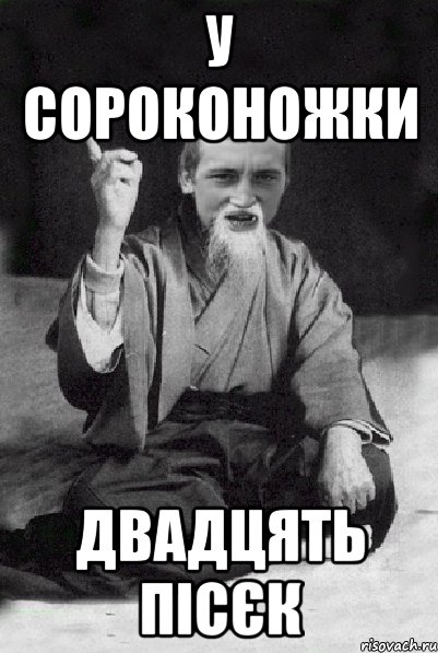 у сороконожки двадцять пісєк, Мем Мудрий паца