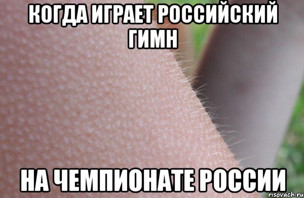 Когда играет российский гимн На чемпионате россии