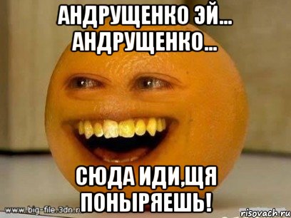 андрущенко эй... андрущенко... сюда иди,щя поныряешь!, Мем Надоедливый апельсин