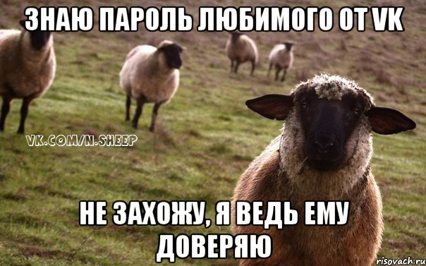 Знаю пароль любимого от vk Не захожу, я ведь ему доверяю, Мем  Наивная Овца
