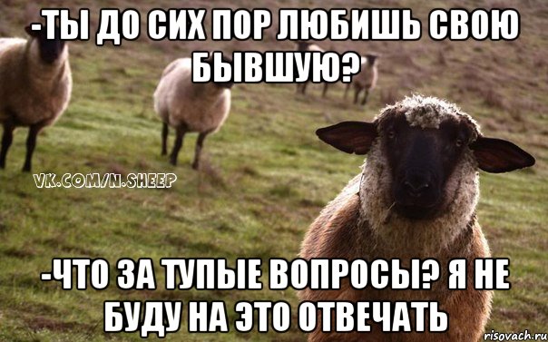 -Ты до сих пор любишь свою бывшую? -Что за тупые вопросы? я не буду на это отвечать, Мем  Наивная Овца