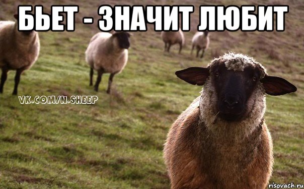 Бьет - значит любит , Мем  Наивная Овца