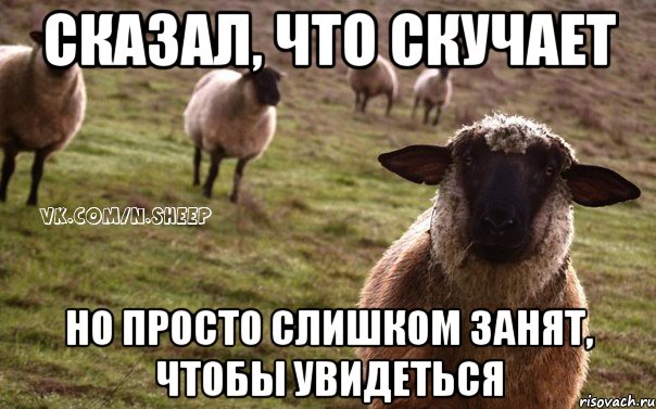 Сказал, что скучает Но просто слишком занят, чтобы увидеться, Мем  Наивная Овца