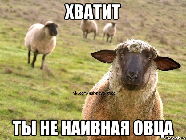 Хватит ты не наивная овца, Мем  Наивная Овца