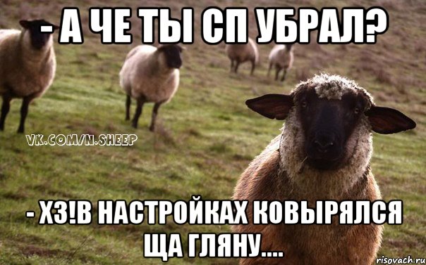 - А че ты СП убрал? - Хз!в настройках ковырялся ща гляну...., Мем  Наивная Овца