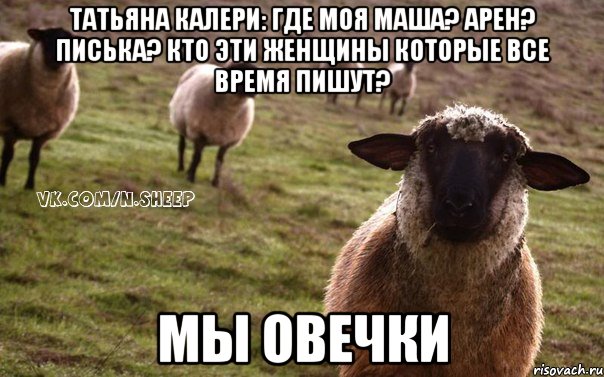 Татьяна Калери: Где моя Маша? Арен? Писька? Кто эти женщины которые все время пишут? мы овечки, Мем  Наивная Овца